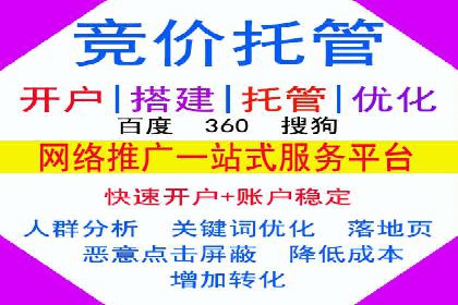 如何在竞争激烈的市场中做好SEM——案例分析